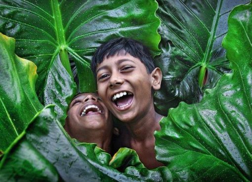 Happiness