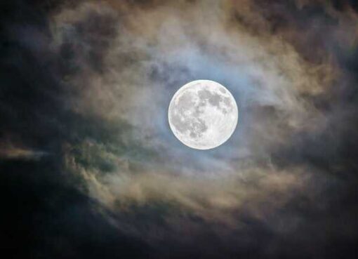 Moon Beauty