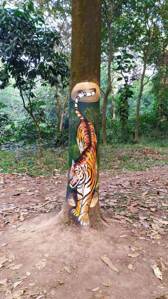 Tiger paint in JU