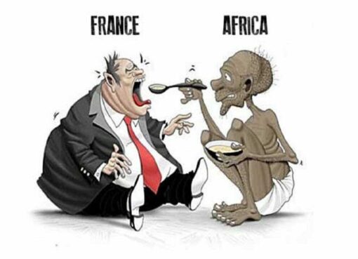 France and Africa