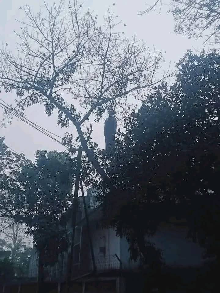 Suicide