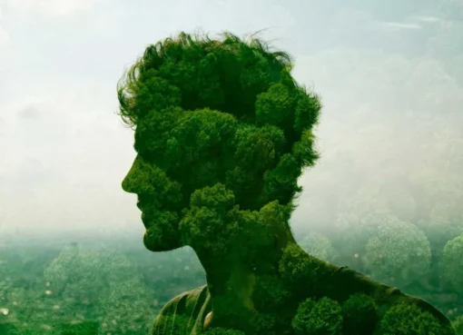Human