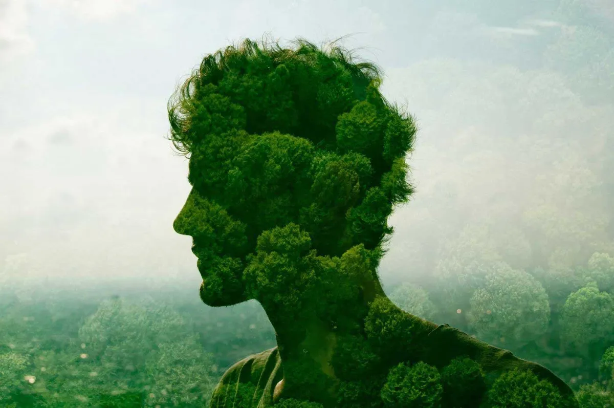Human