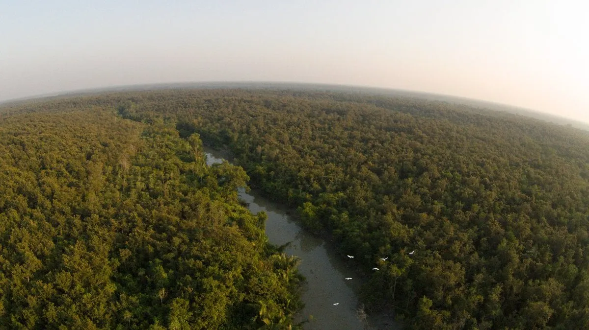Sundarbans
