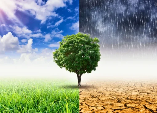 Climate Change