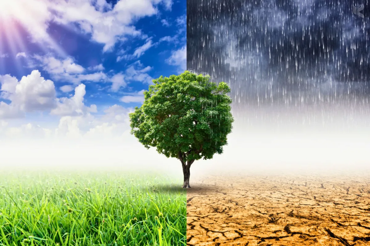 Climate Change