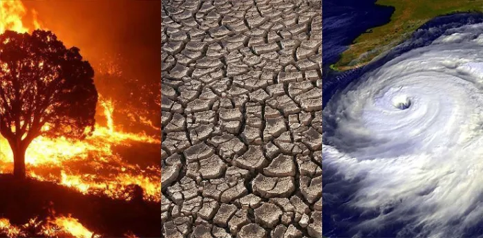 Natural Disaster