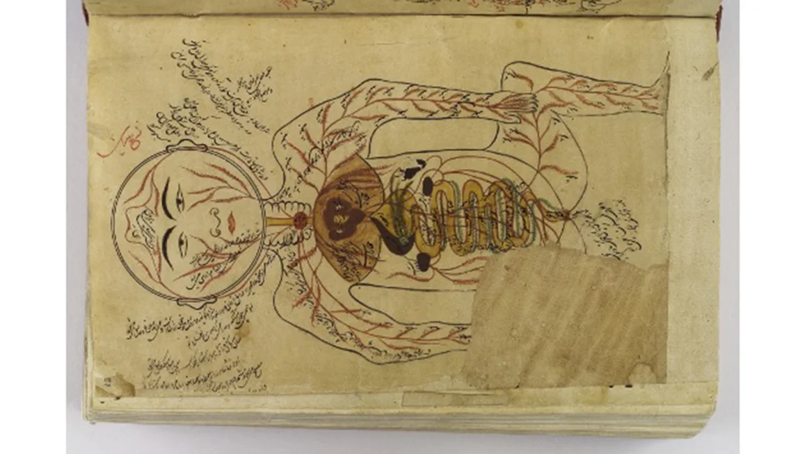 The Canon of Medicine