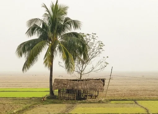 Beautiful Bangladesh