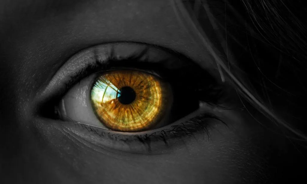 Eye
