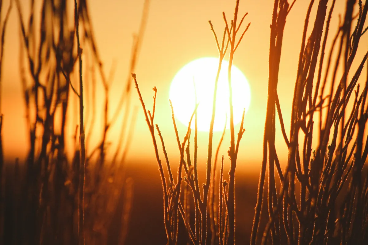 Sun